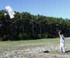 Rolling Kite s.jpg (142208 bytes)